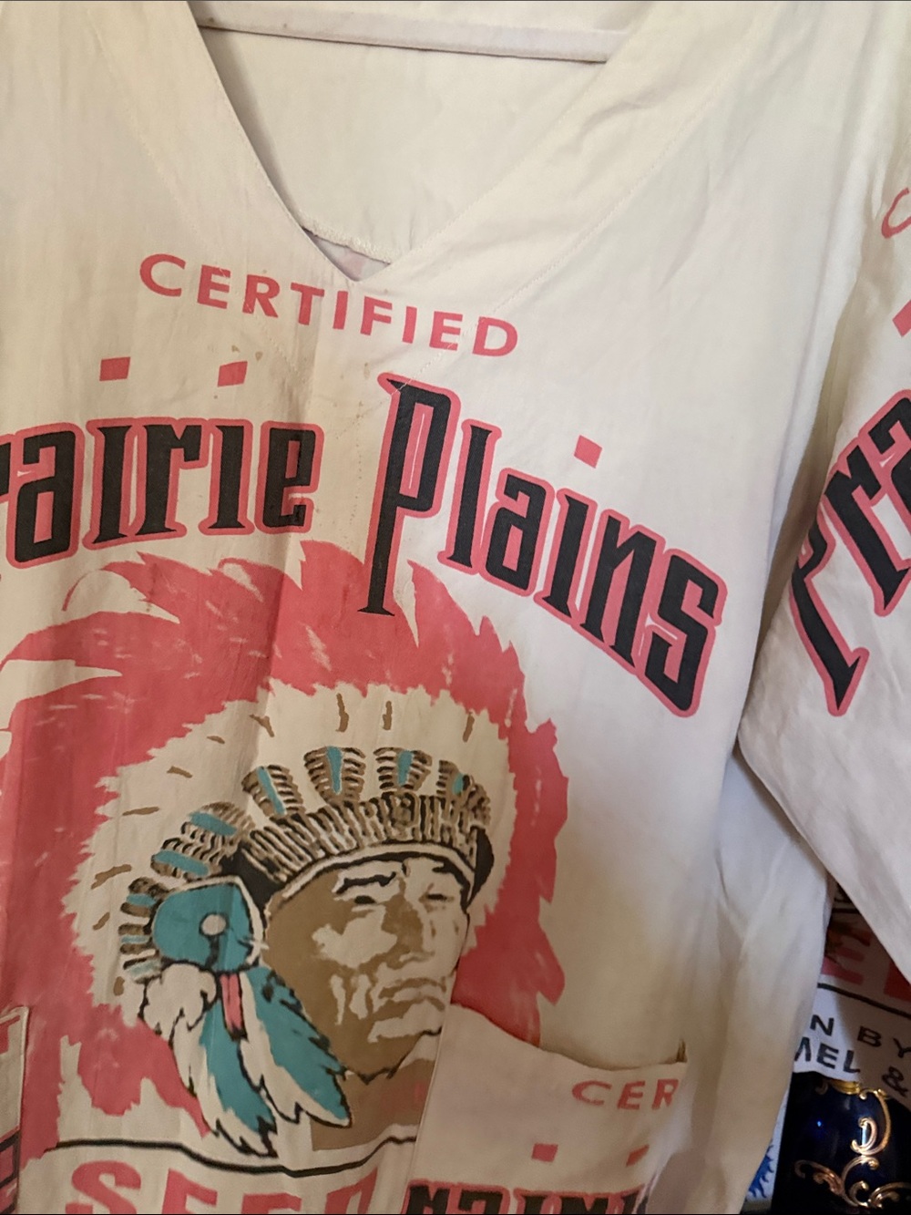 Jaded Gypsy. Graphic in Cream and Pink. Great with turquoise jewelry - Picture 2 of 5